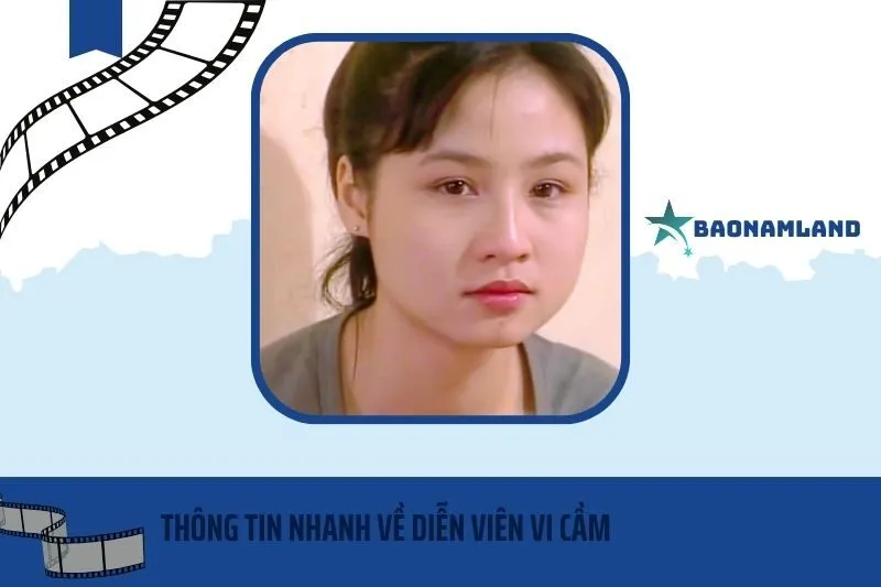 Thông tin nhanh về diễn viên Vi Cầm